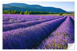 Autocolante decorativo Lavender dream of Provence