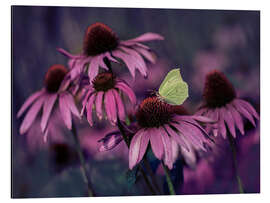 Magnettafel Lila Ehinacea
