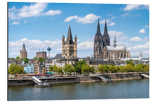 Aluminium print City view of Cologne in summer, North Rhine-Westphalia, Germany