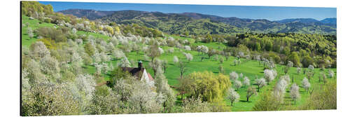 Stampa su alluminio Berghausen Chapel, Cherry Blossom, Black Forest