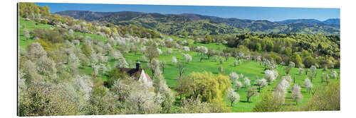 Gallery Print Kapelle Berghausen, Kirschblüte, Schwarzwald