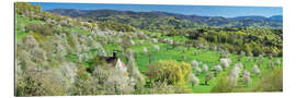 Gallery print Berghausen Chapel, Cherry Blossom, Black Forest