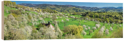 Cuadro de madera Berghausen Chapel, Cherry Blossom, Black Forest