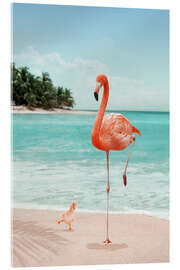 Acrylglasbild  Möchtegern-Flamingo - Jonas Loose