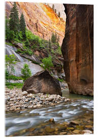 Akryylilasitaulu The Narrows, Zion National Park, Utah, USA