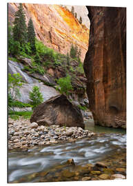 Tableau en aluminium The Narrows dans le parc national de Zion, USA