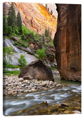 Tableau sur toile The Narrows dans le parc national de Zion, USA
