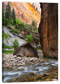 Leinwandbild The Narrows, Zion-Nationalpark, Utah, USA