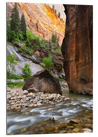 Gallery Print The Narrows, Zion-Nationalpark, Utah, USA