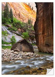 Vinilo para la pared The Narrows, Zion National Park, Utah, USA