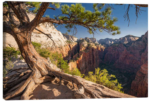 Lerretsbilde Zion National Park, Utah, USA