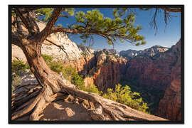 Gerahmter Kunstdruck Zion Nationalpark, Utah, USA