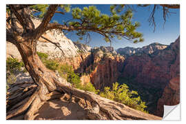 Sticker mural Parc national de Zion, USA