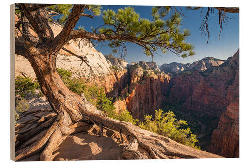 Tableau en bois Parc national de Zion, USA