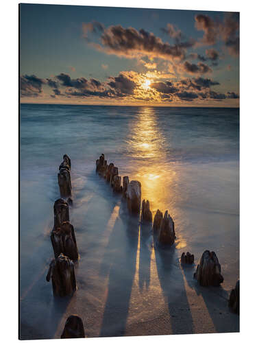 Aluminium print Groyne on Sylt with sunset