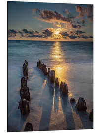 Aluminiumtavla Groyne on Sylt with sunset