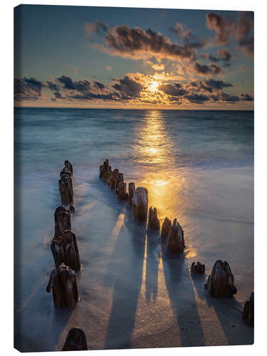 Canvas print Groyne on Sylt with sunset