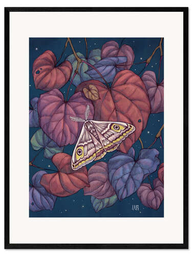 Ingelijste kunstdruk Midnight Moth
