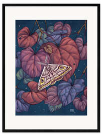 Framed art print Midnight Moth