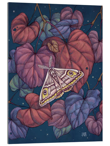 Gallery print Midnight Moth