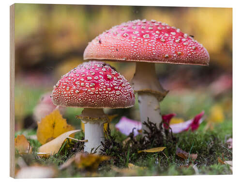 Holzbild Fliegenpilze im Herbstlaub