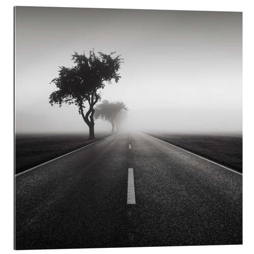 Stampa su plexi-alluminio Road to nowhere