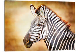 Galleritryck Zebra, Africa, Vintage-Design