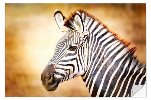 Selvklebende plakat Zebra, Africa, Vintage-Design