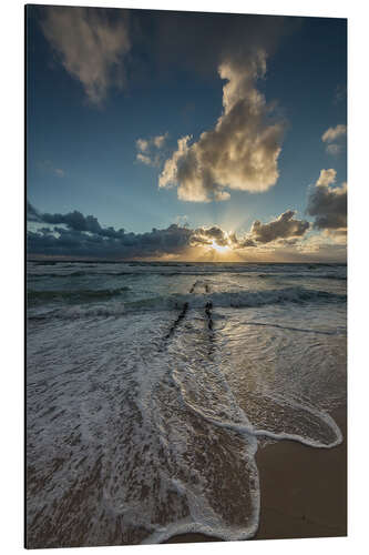 Aluminiumsbilde Sunset with groyne on Sylt