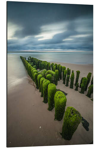 Tableau en aluminium Épis mystiques sur l'île de Sylt V