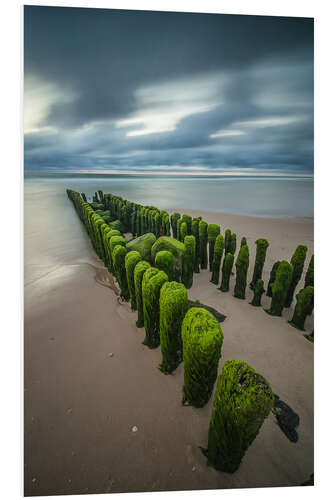 PVC-taulu Mystical groyne at Sylt V