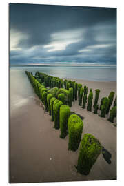 Gallery print Mystical groyne on Sylt V