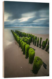 Obraz na drewnie Mystical groyne at Sylt V