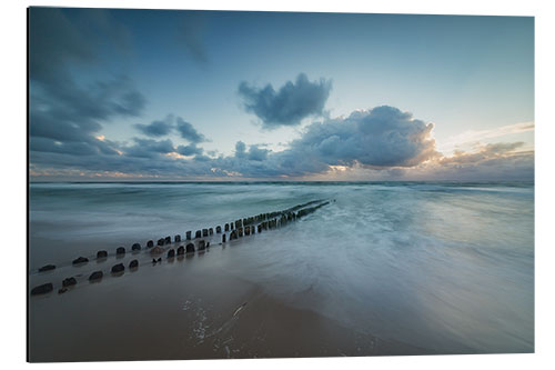 Stampa su alluminio Groyne in the evening on Sylt (long exposure)