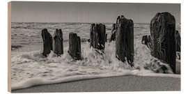 Trebilde Groyne with waves