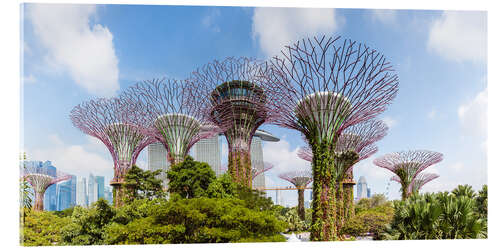 Acrylglasbild Der Supertree-Wald in Singapur