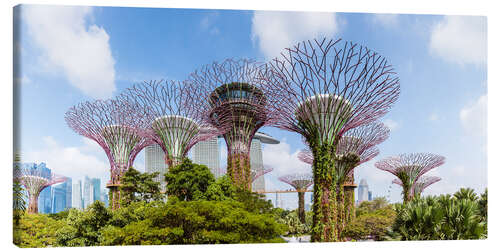 Canvas-taulu The Supertree grove in Singapore