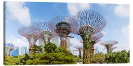 Leinwandbild Der Supertree-Wald in Singapur