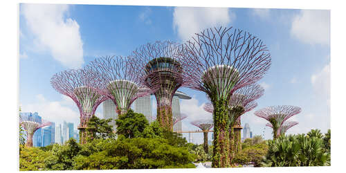 PVC print The Supertree grove in Singapore