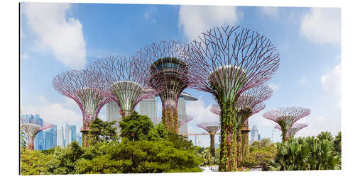 Quadro em plexi-alumínio The Supertree grove in Singapore