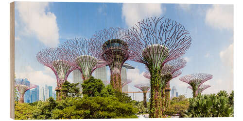 Cuadro de madera The Supertree grove in Singapore