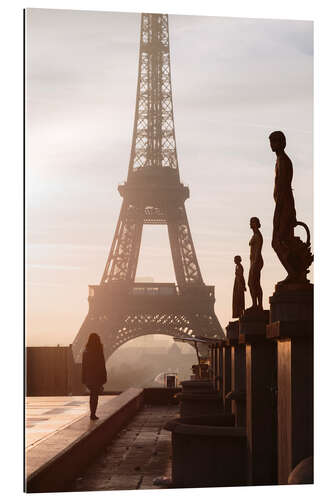 Galleritryk Eiffel tower from Trocadero, Paris