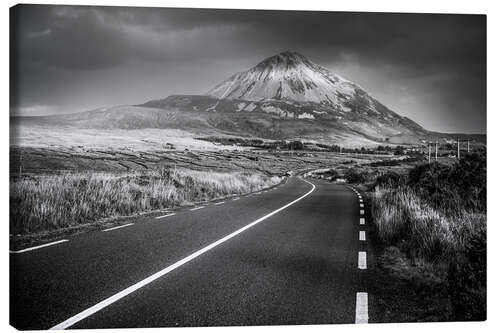 Stampa su tela The road to the mountain