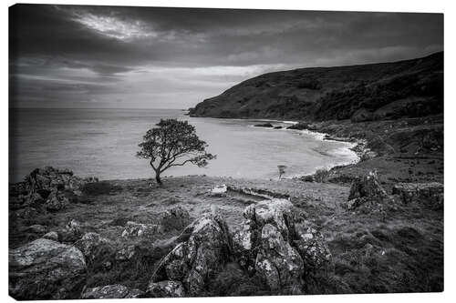 Canvas print Single tree in the wind