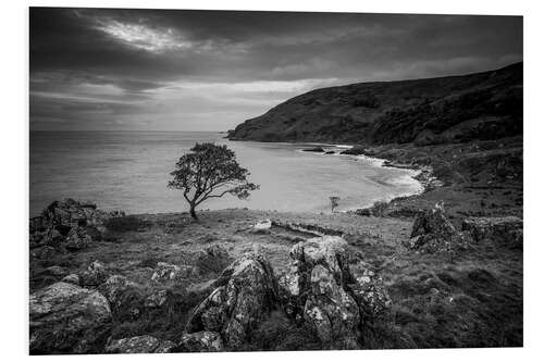 Foam board print Single tree in the wind