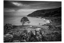 Gallery print Single tree in the wind