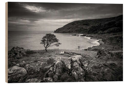 Stampa su legno Single tree in the wind