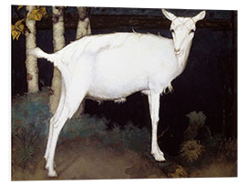 Foam board print Young white goat