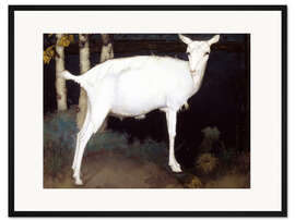 Gerahmter Kunstdruck Junge weiße Ziege