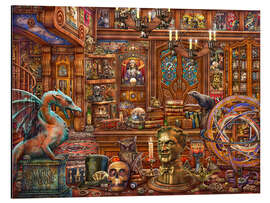 Aluminium print Mr. Curio's Magic Emporium II